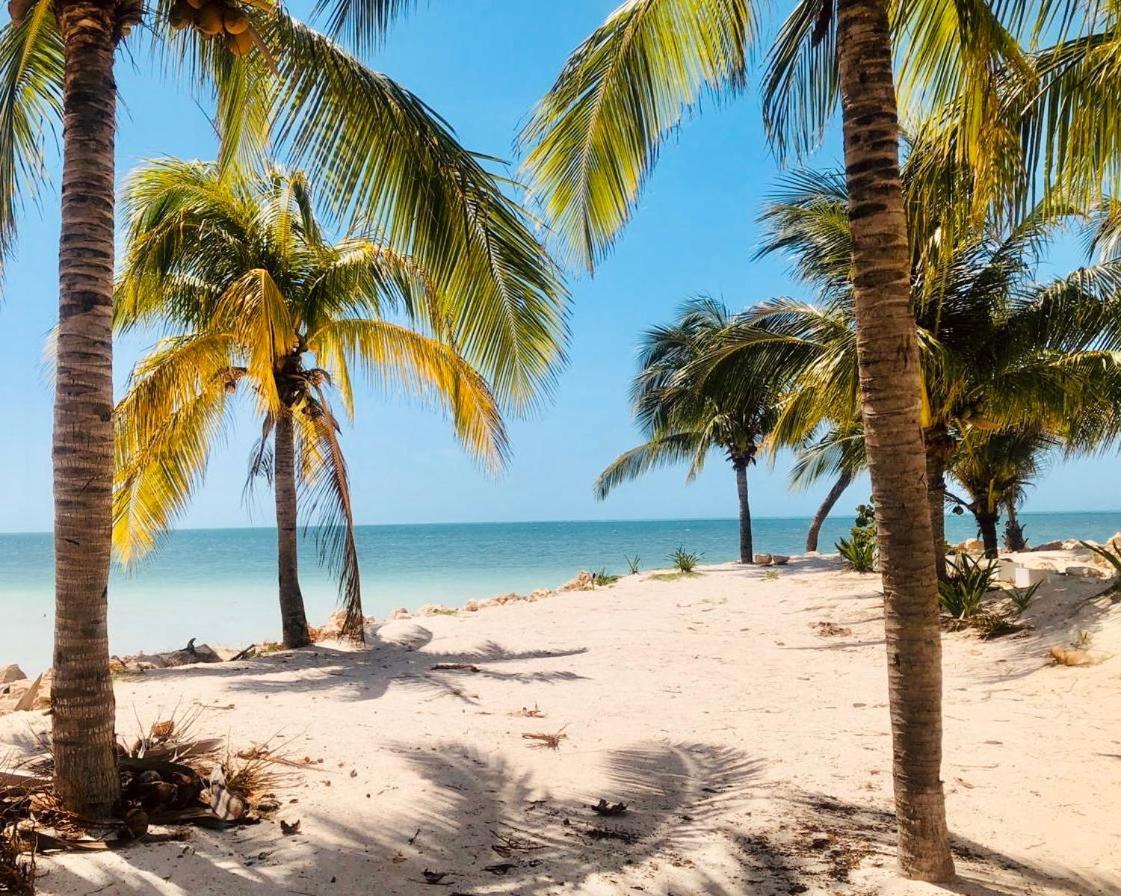 Corazon Mexicano Holbox Isla Holbox Exterior photo